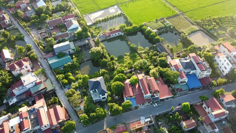 Scenic aerial view of a rural village with lush greenery and ponds, capturing village life from above.