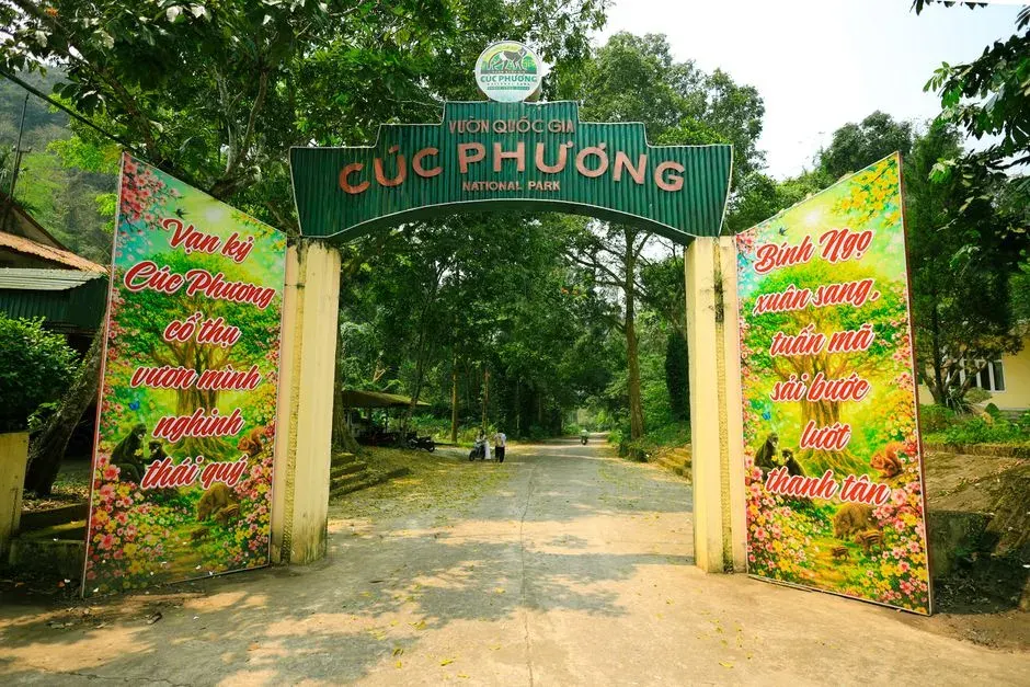 Entrance gate to Cuc Phuong National Park, surrounded by lush greenery in Ninh Bình, Vietnam.