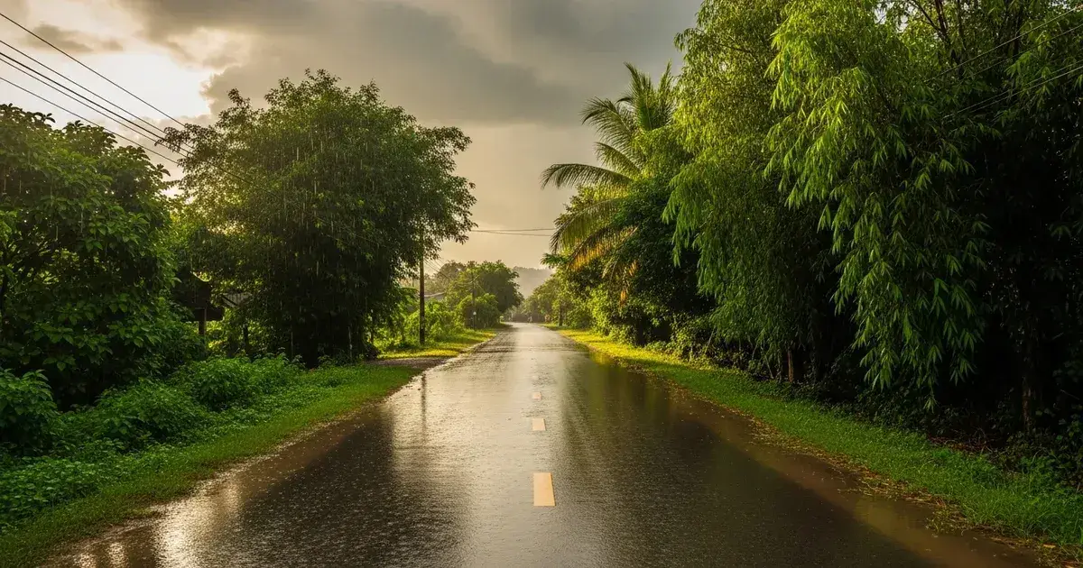 Đường làng miền Trung Việt Nam trong mùa mưa, cây cối xanh mướt hai bên đường